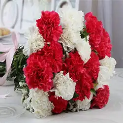 Carnations